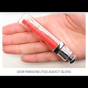NEW Christian Dior Addict Lip Polish Gloss Mirror Shine 732 Paradise Lipstick
